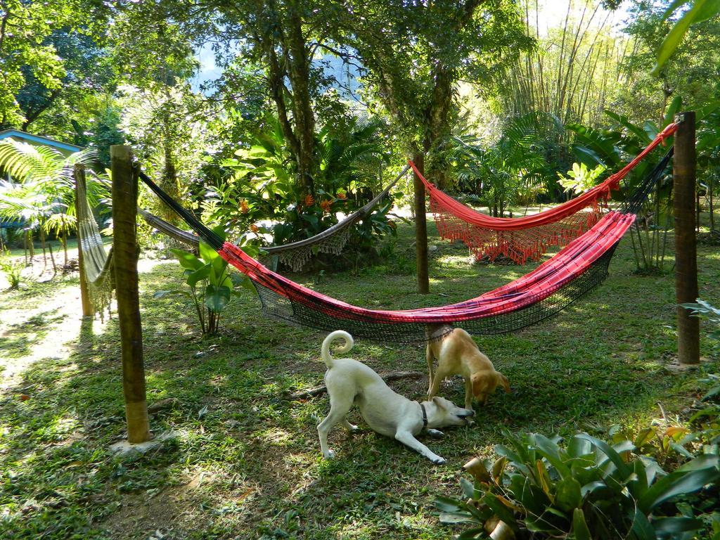 Bicho Do Mato Suites Guapimirim Dış mekan fotoğraf