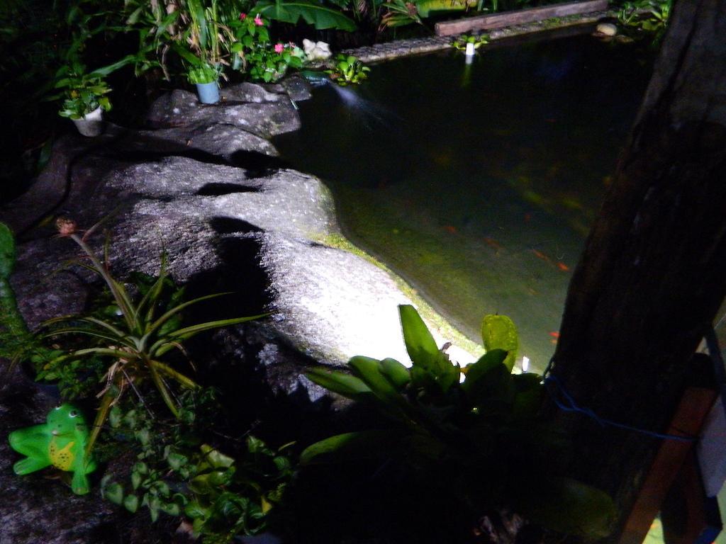 Bicho Do Mato Suites Guapimirim Dış mekan fotoğraf