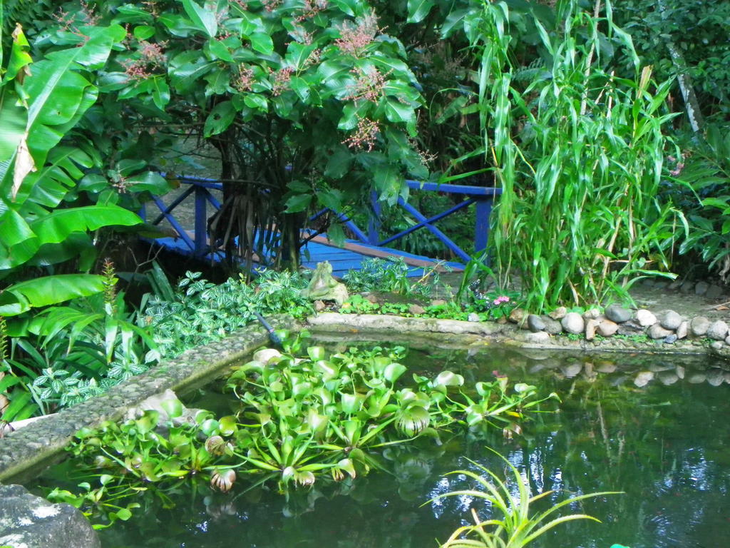 Bicho Do Mato Suites Guapimirim Dış mekan fotoğraf