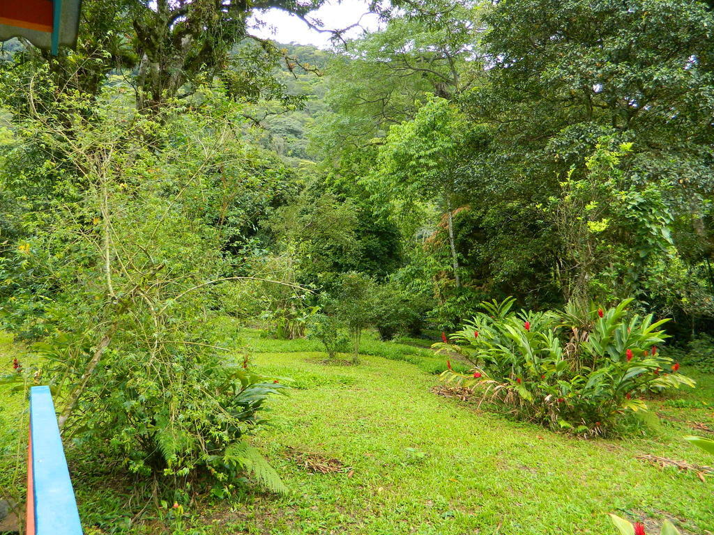 Bicho Do Mato Suites Guapimirim Dış mekan fotoğraf